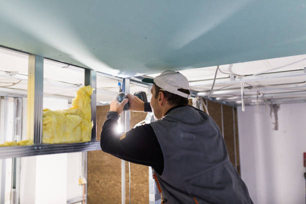 Best Insulation Maintenance and Repair in Spearman, TX