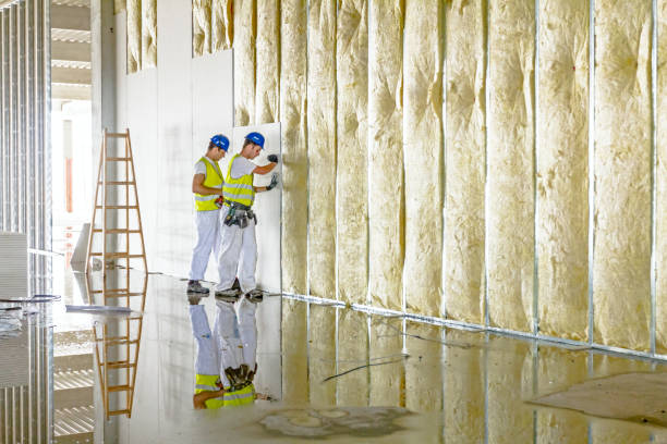 Best Geographic-Specific Insulation Services in Spearman, TX